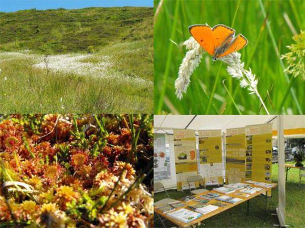 exposition zone humide pyrenees aspet habitat urbanisme