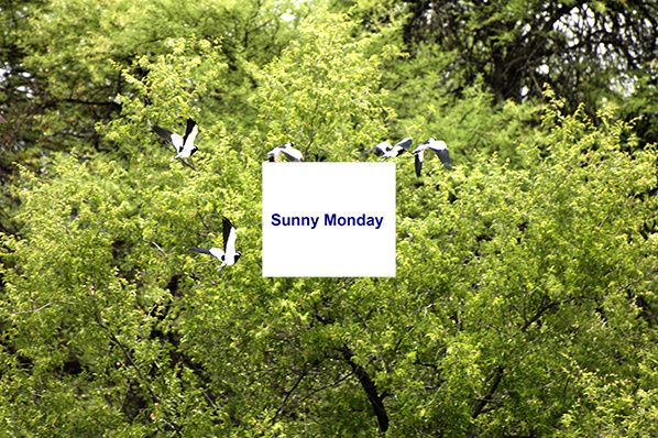 couverture lundi soleil sunny monday