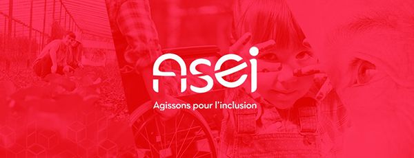 asei agir inclusion bernieshoot
