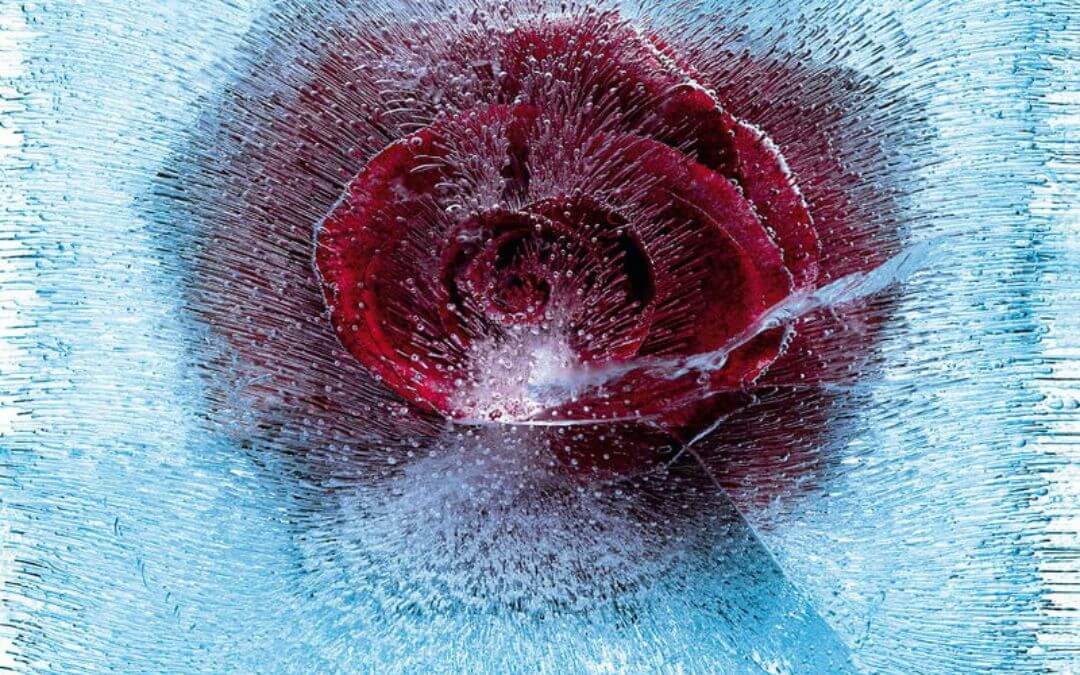 couverture du livre n'éteins pas la lumière de Bernard Minier