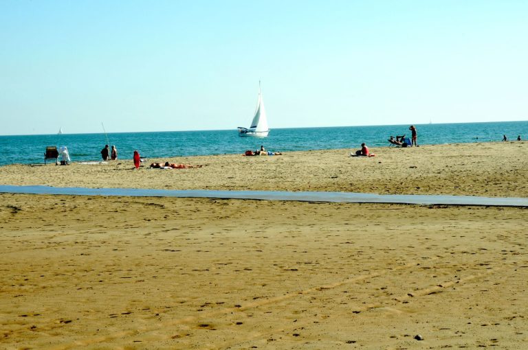 respect-liberte-jugement-accusation-defense