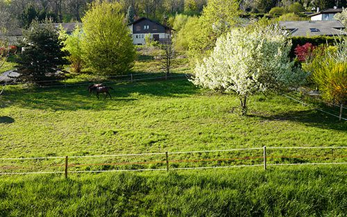 verger à la Verniaz