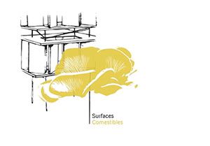 SURFACES COMESTIBLES © Germ Studio