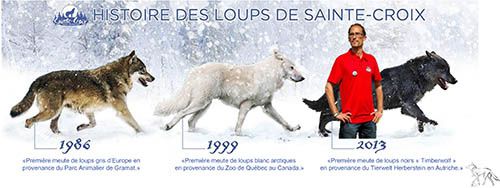 histoire des loups de sainte croix