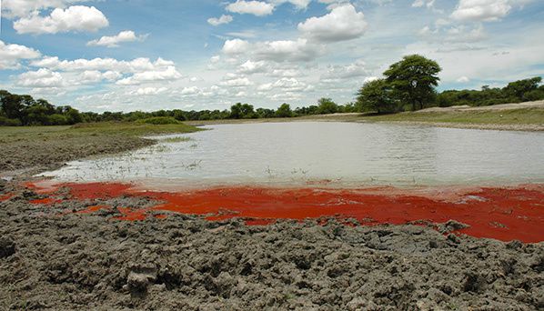 paysage lac etosha namibie paysage lac etosha namibie