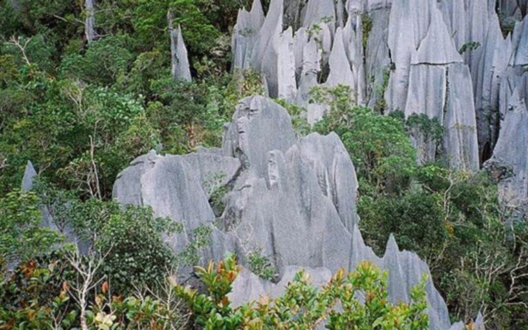 parc national du Gunung Mulu