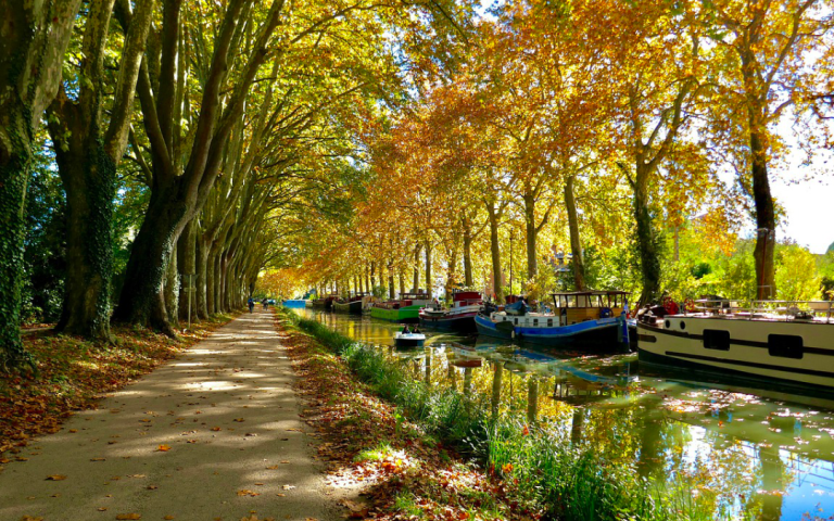Giving Tuesday - Nailloux Outlet Village - replantation canal du midi - Bernieshoot