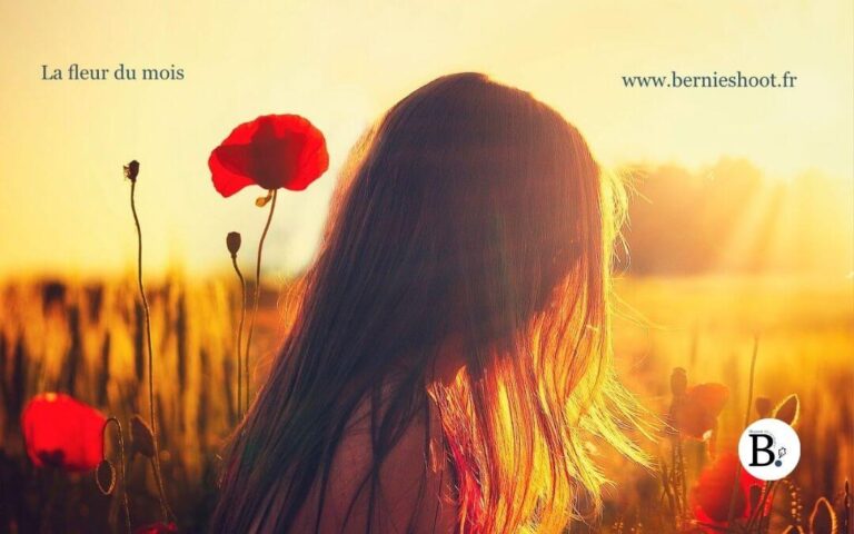Défi Photo La Fleur du Mois 2026 : Le Guide #Bernieshoot