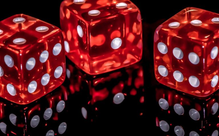 Conseils pour enrichir votre temps libre-bernieshoot