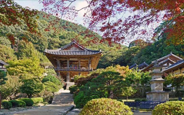 bernieshoot-voyage-hivernal-coree-sud