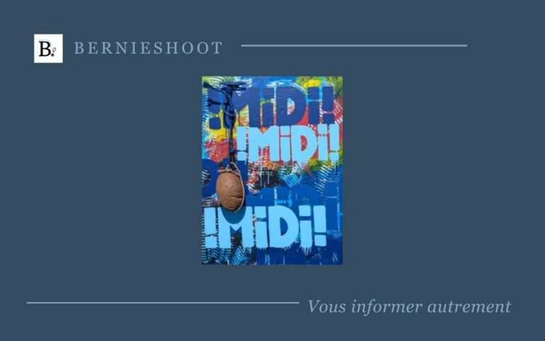 !MiDi! : À l'occasion de la Fête du Canal, l'artiste Thomas Berthuel-Bonnes invite à une promenade artistique au cœur de Toulouse. Ses toiles vibrantes, exposées aux Cales de Radoub, célèbrent le Canal du Midi et invitent à s'engager pour sa préservation.