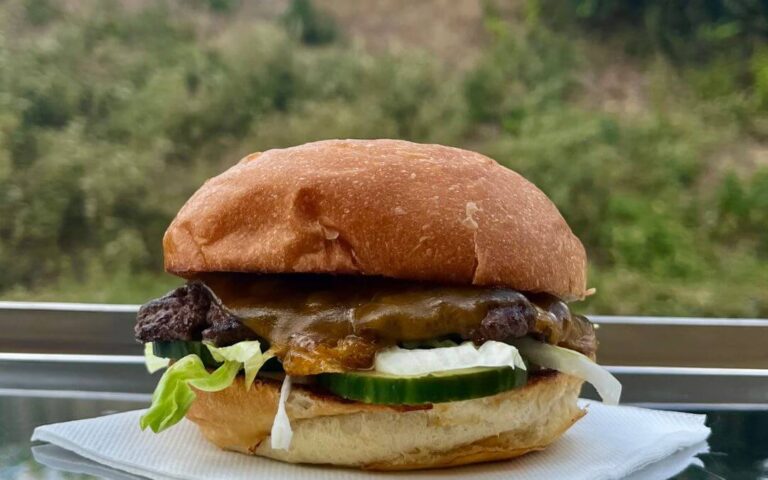 Envie d'un burger gourmand et responsable ? Birdie's, c'est le food truck de Maxence et Félix qui s'installe près de chez vous pour vous faire découvrir des recettes américaines revisitées avec des produits frais de la région. Des 'smash burgers' à tomber par terre à la street food inventive, laissez-vous tenter par une expérience culinaire unique et engagée.