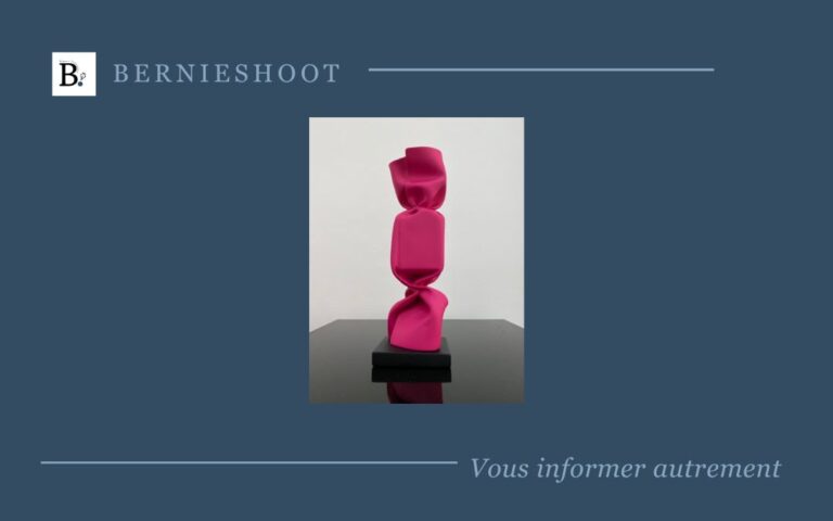 Cette sculpture minimaliste et géométrique, composée de formes rougeâtres, crée un contraste saisissant sur le fond blanc.