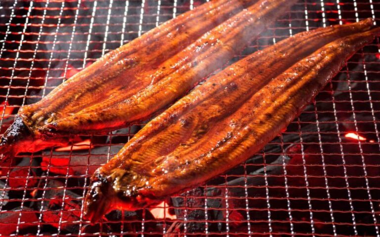 Anguille et Congre à ginza Tokyo