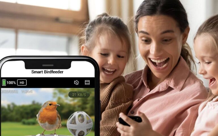 Observer les oiseaux en famille sans les déranger