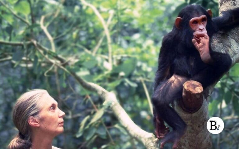 Jane Goodall, Décès de la pionnière de l’éthologie