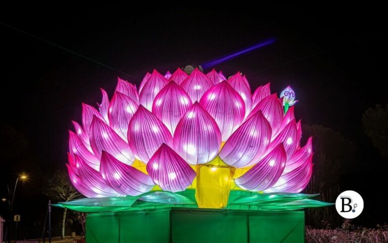 Éveil des lanternes