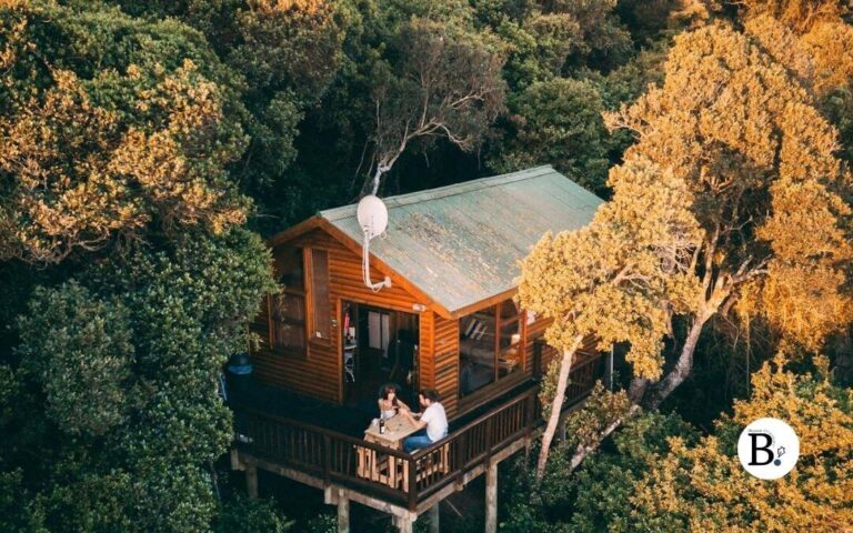 Dormir dans une cabane perchée ou sous une tente de luxe: une nouvelle façon de voyager