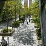 Béton et chlorophylle : apprenez à débusquer et encadrer le Vert au cœur de la ville pour le défi Lundi Soleil. 🏙️🌿 #Bernieshoot