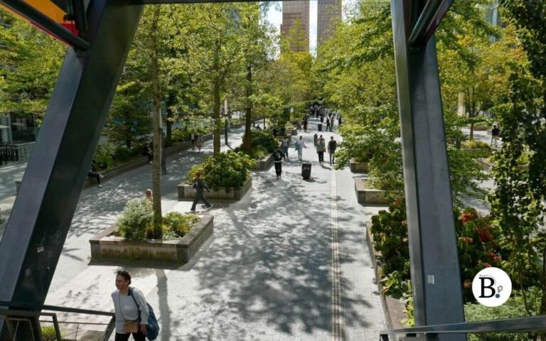 Béton et chlorophylle : apprenez à débusquer et encadrer le Vert au cœur de la ville pour le défi Lundi Soleil. 🏙️🌿 #Bernieshoot