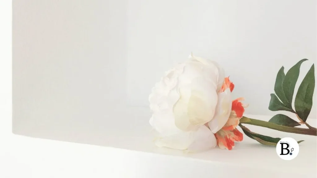 fond blanc minimaliste rose blanche bernieshoot lundi soleil Blanc : photographier la pureté et le minimalisme