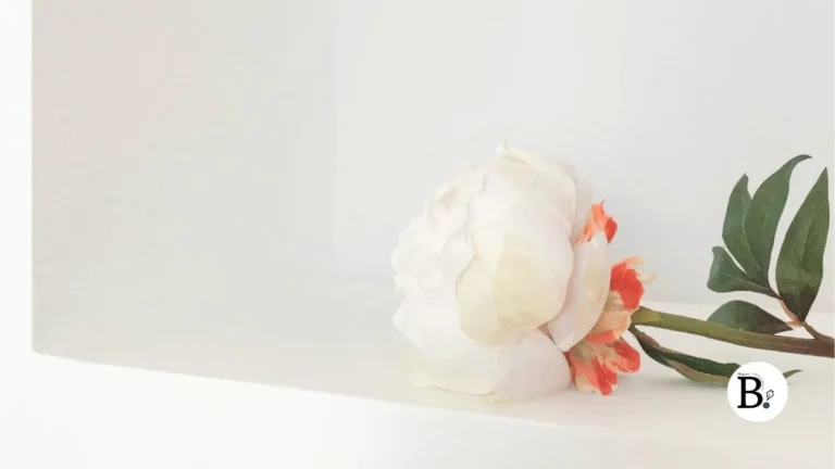Fond blanc minimaliste