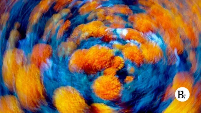 Mouvement et dans de fleurs oranges