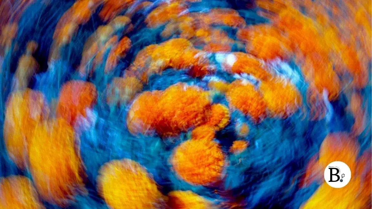 Mouvement et dans de fleurs oranges