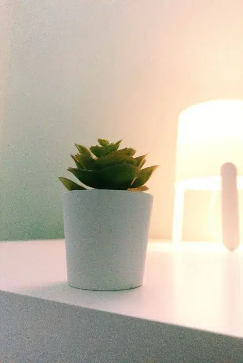 Minimalisme : le pouvoir narratif de l'objet solitaire