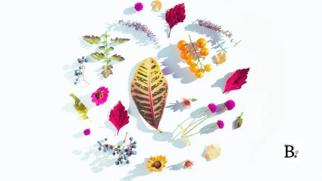 Flat lay éclectique coloré grand final vibrant