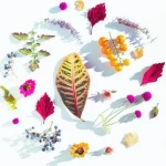 Flat lay éclectique coloré grand final vibrant