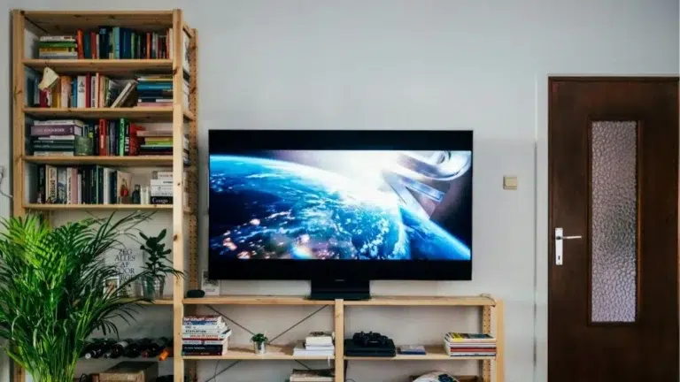 salon avec télévision