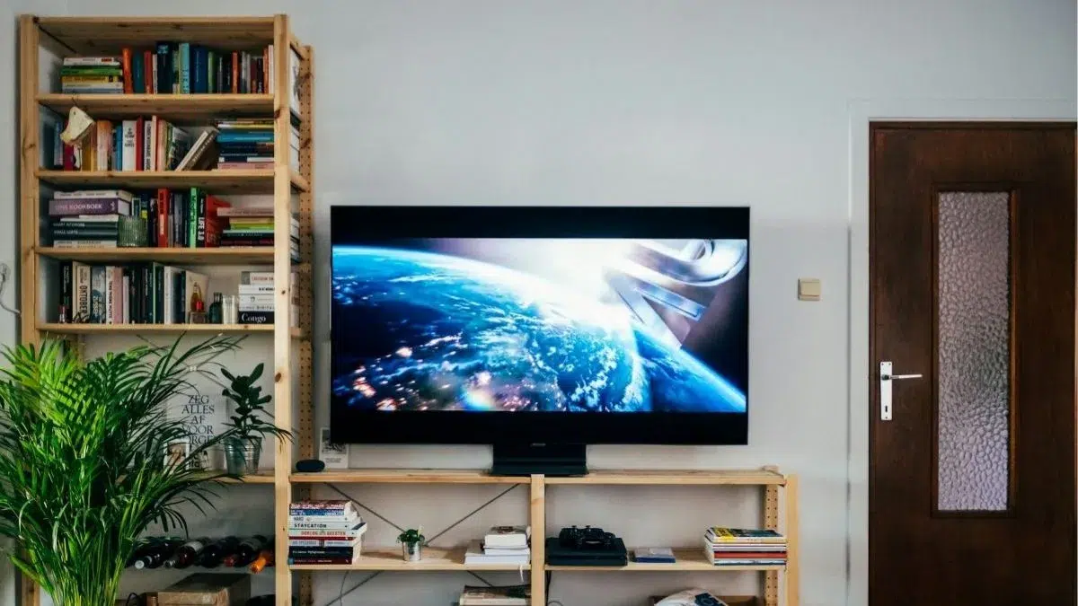 salon avec télévision
