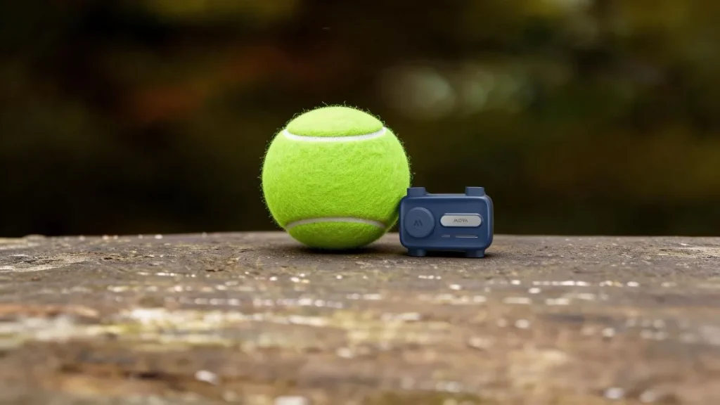 suretrack pro mova traceur gps chien chat balle tennis SureTrack Pro MOVA : test du traceur GPS pour animaux