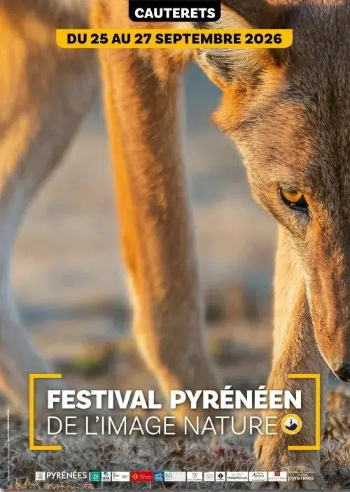 affiche festival pyrénéen image nature cauterets 2026 Festival Pyrénéen de l'Image Nature de Cauterets 2026
