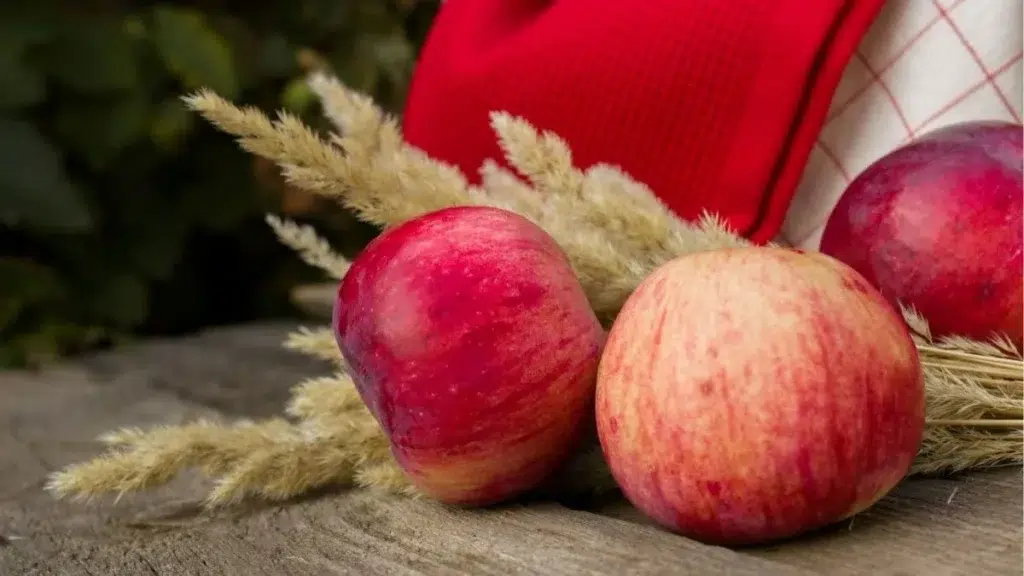 pommes rouges blé torchons Foire de la Pomme et de l’Oignon doux des Cévennes 2026