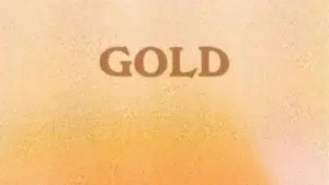 couverture clip gold the amber day