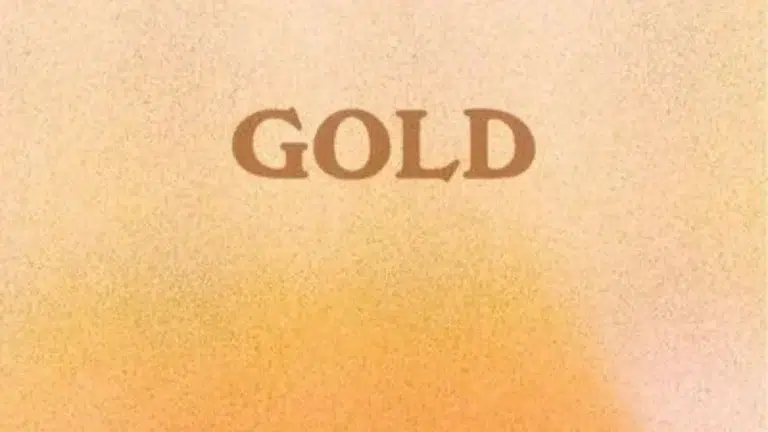 couverture clip gold the amber day