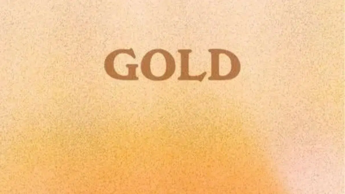 couverture clip gold the amber day